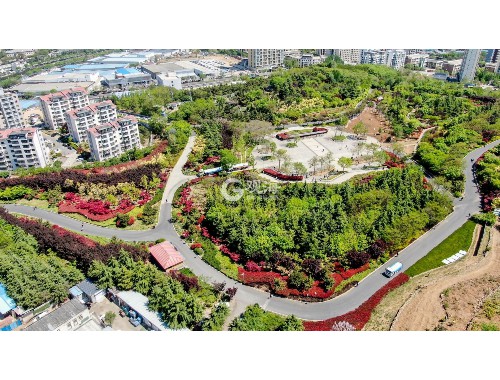 市政绿化工程管理部门