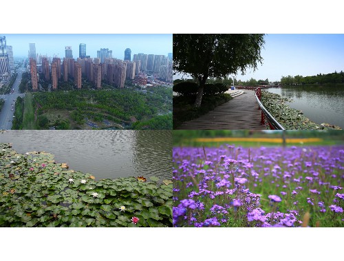 新郑市专业绿化工程师招聘