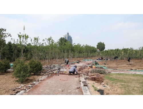 学校硬化绿化工程自评报告