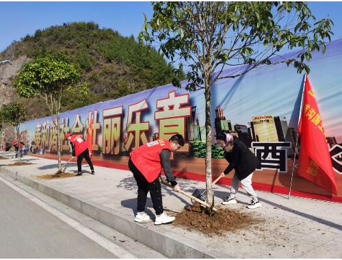 扬州城市景观绿化工程