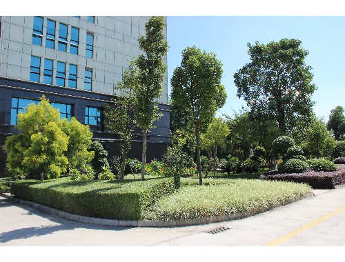 小区绿化工程质量情况