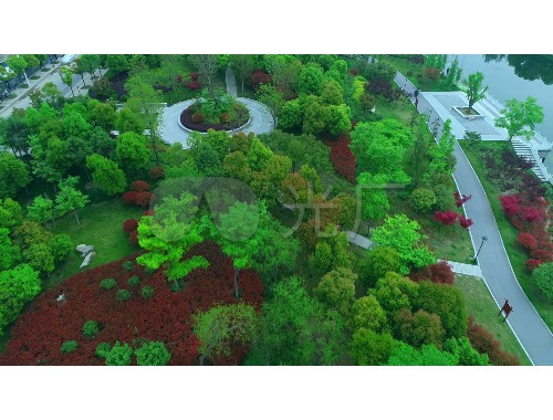 新乡绿化工程苗圃项目中标