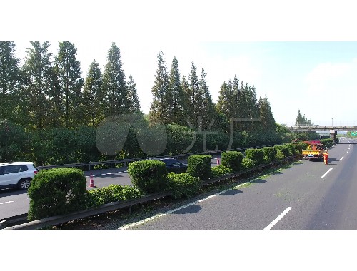 荥阳市高速边绿化工程