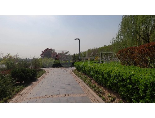 徐州新城区顺堤河绿化工程
